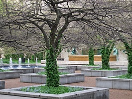 噴泉,公園,芝加哥