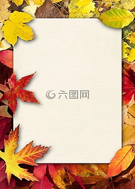 秋季,葉子,豐富多彩