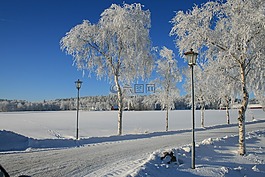 冬天,雪,太陽能