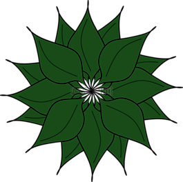 植物,葉子,花