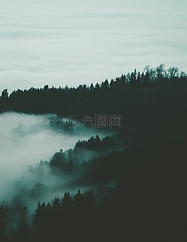 有霧,高山景觀,自然