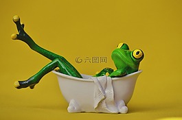 青蛙,浴,游泳