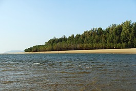 阿拉伯海,森林,印度