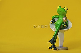 青蛙,椅子,舒適