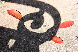 葉子,陰影,紅色
