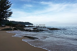 海灘,岸,海岸