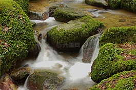 水,過(guò)獨(dú)身生活,性質(zhì)