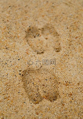 鹿的足迹,沙,鹿