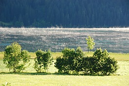 湖,霧,景觀