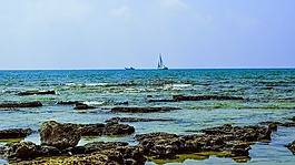 巖質(zhì)海岸,海,景觀