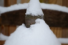 佛,雪,冬天