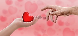心脏,情人节,手