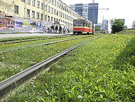 電車,草,運輸