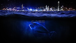 海,水,天際線