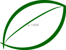 葉,生物學(xué),綠色