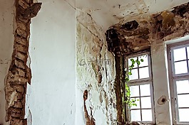被遗弃的空间,苔,模具