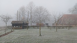 冬天,景觀,荷蘭風(fēng)景