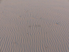 砂,海灘,海洋