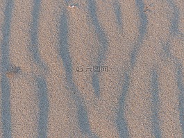 砂,海灘,海洋