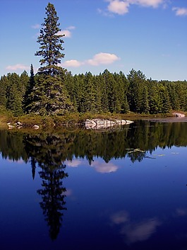性質(zhì),湖,松