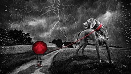 景觀,步行,雨