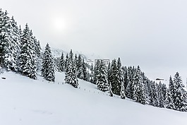 冬天,雪,雪覆蓋