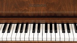 鋼琴,鍵盤,鍵