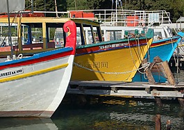 船,顏色,海港