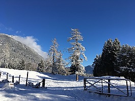 雪,景觀,冬天