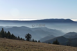 山,云,黑色的森林