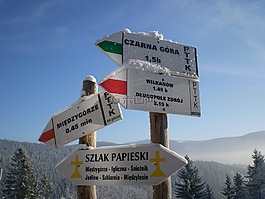 冬季,山,路标