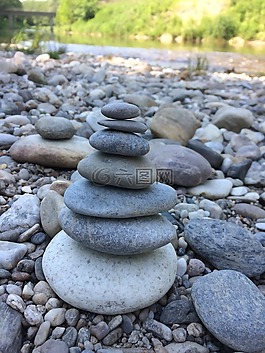 森林,性質,綠色