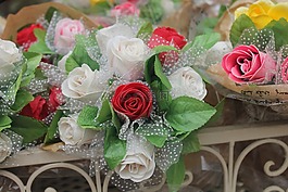 鮮花,夏季,宏