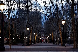 馬德里,街,夜