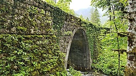 斯洛文尼亞,性質(zhì),橋