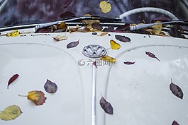 葉子,車,葉