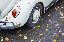 葉子,車,葉
