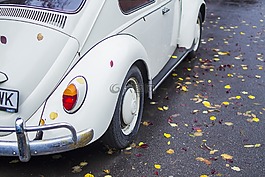 葉子,車,葉