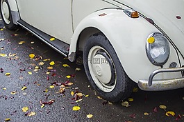 葉子,車,葉