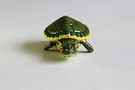 龜,工藝品,裝飾