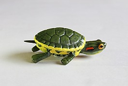 龜,工藝品,裝飾
