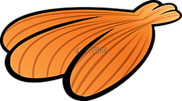 貝殼,海灘,環(huán)境