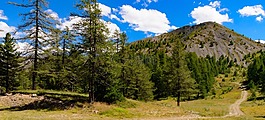 山,徒步旅行,森林