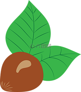 榛子,向量,繪圖