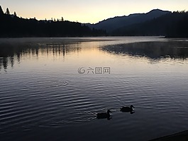 湖,休谟,红杉