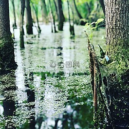 性質(zhì),樹(shù),反思