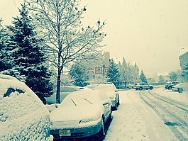 冬天,白,雪