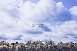 云,天空,森林
