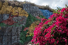 古巴,瓦德比尼亞萊斯,壁畫 de la prehistoria