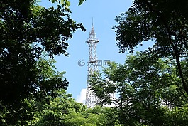 景色,夏日,摄影